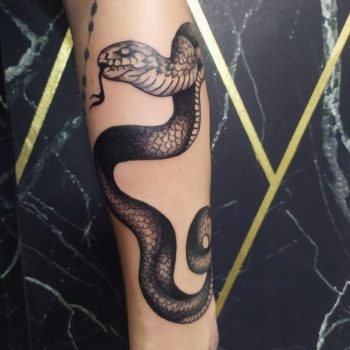 tatouage serpent cannes tattoo trad blackwork tattoo