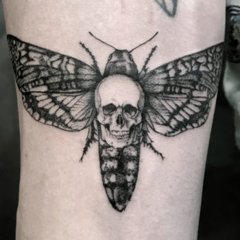 tattoo cannes tatouage kaya natalia tatoueuse réaliste réalisme black black&grey and grey french papillon butterfly sphynx crane skull vanité riviera