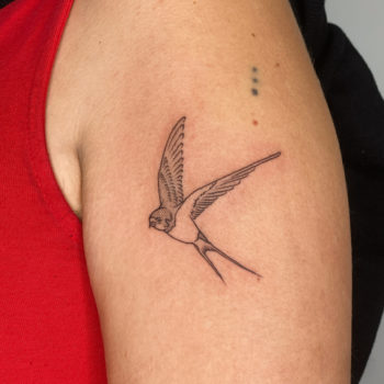 NEO-STUDIO_TTT_Hirondelle Noémie neo studio cannes tattoo tatoueuse artiste minimalisme linework blackwork fineline oiseau hirondelle