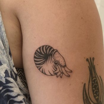 NEO-STUDIO_TTT_Nautile Noémie neo studio cannes tattoo tatoueuse artiste minimalisme linework blackwork fineline coquillage